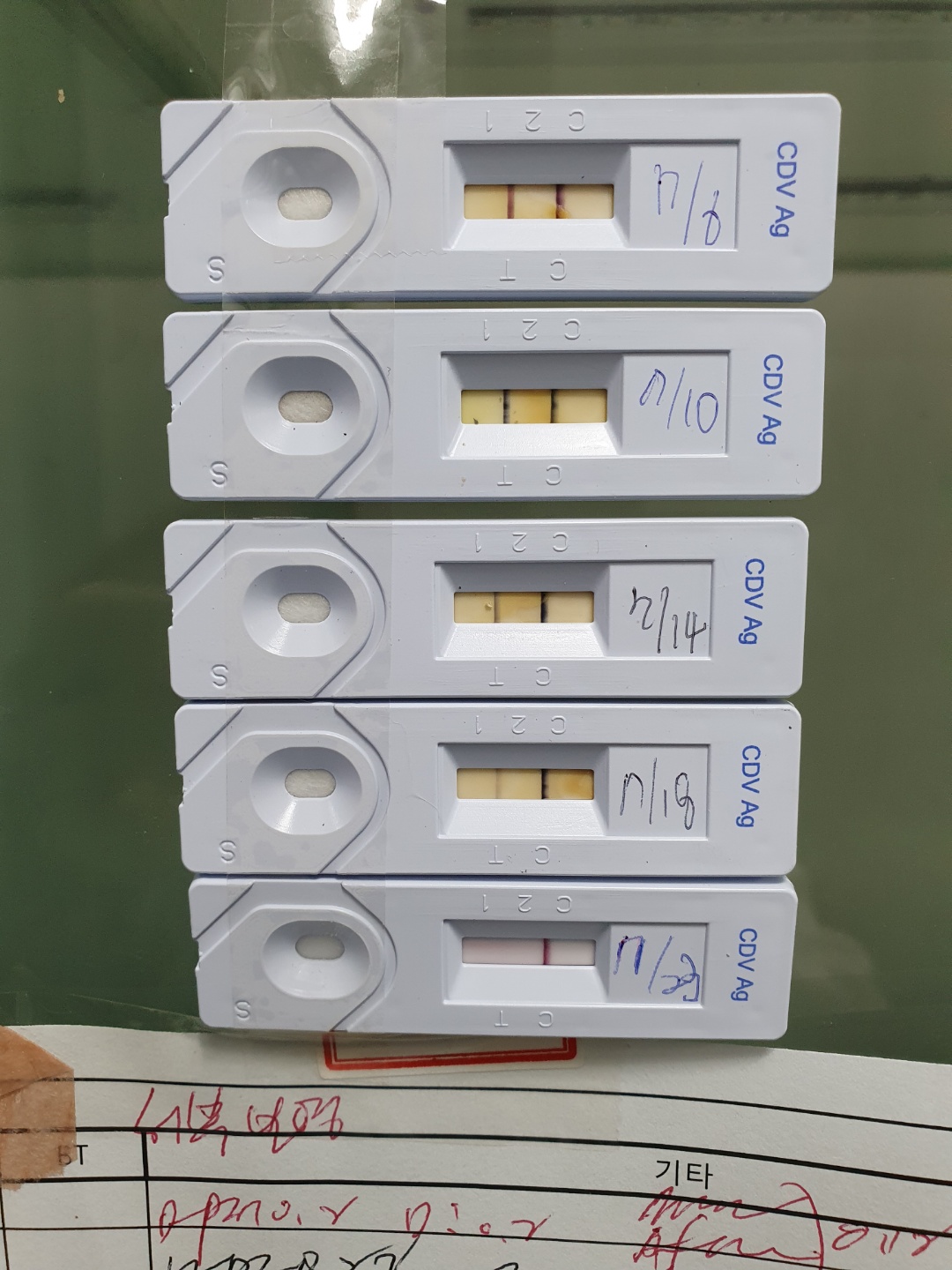 탑동물병원 대표 이미지