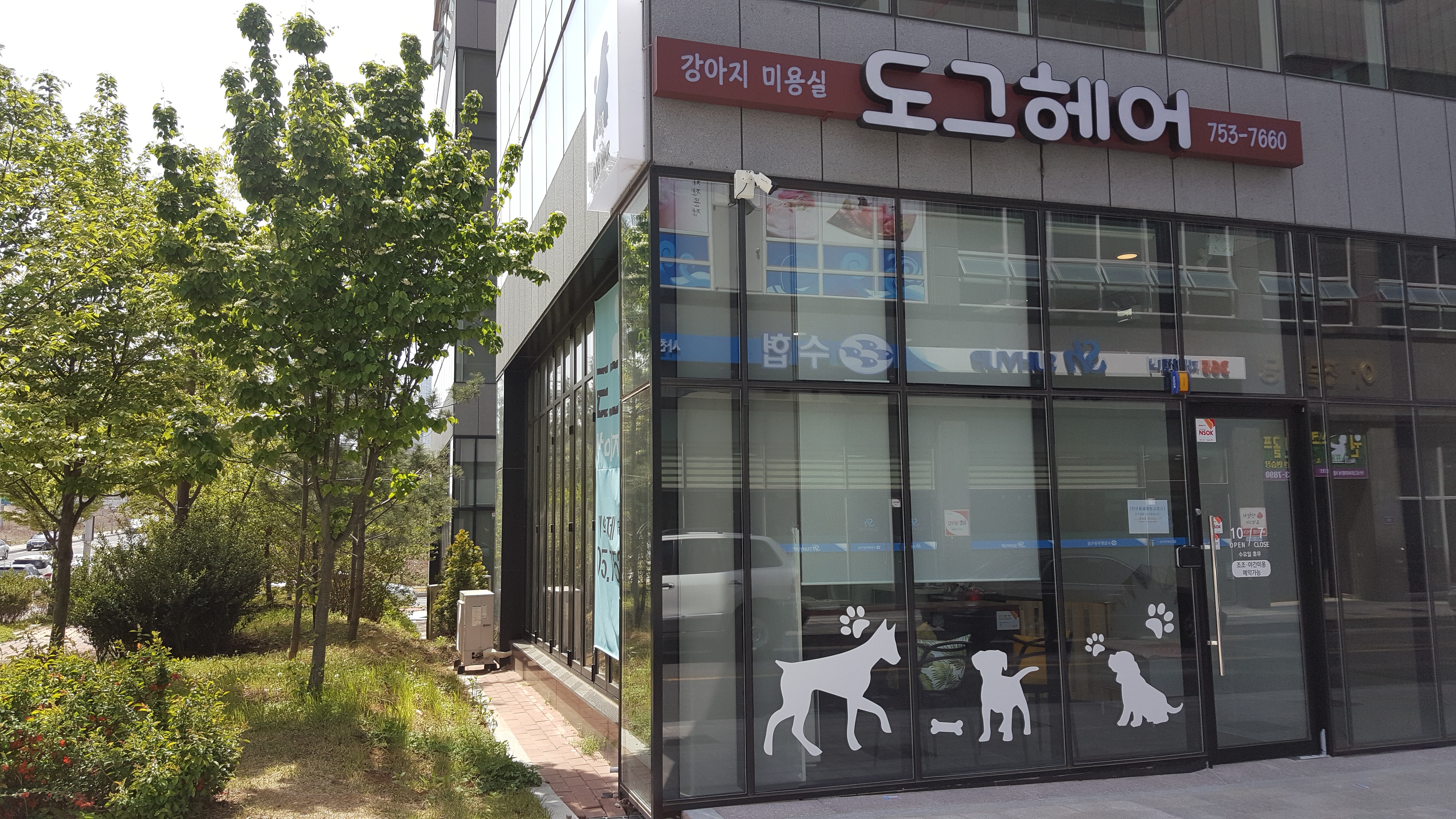도그헤어 대표 이미지