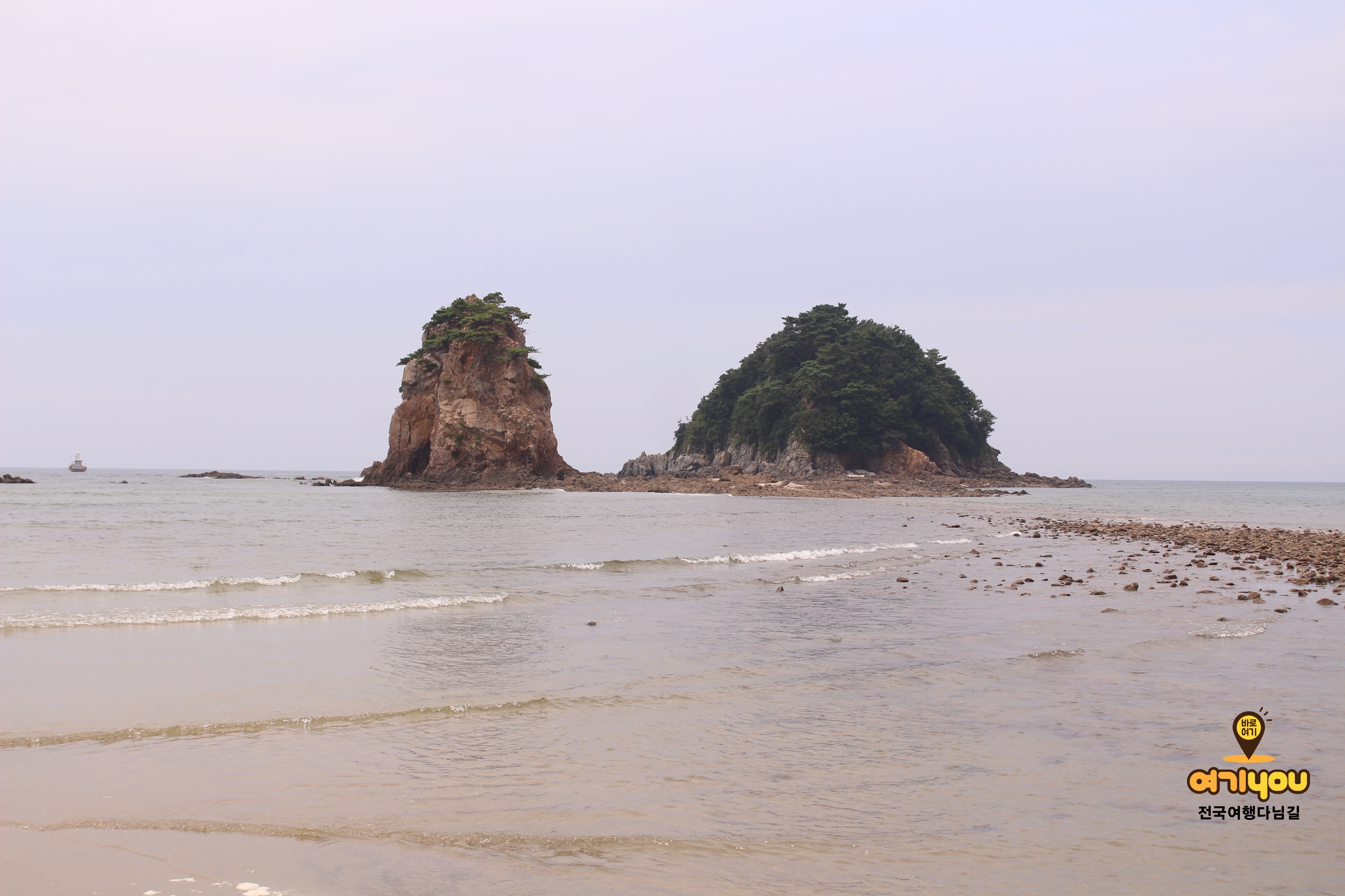 안면도꽃지수산식당
