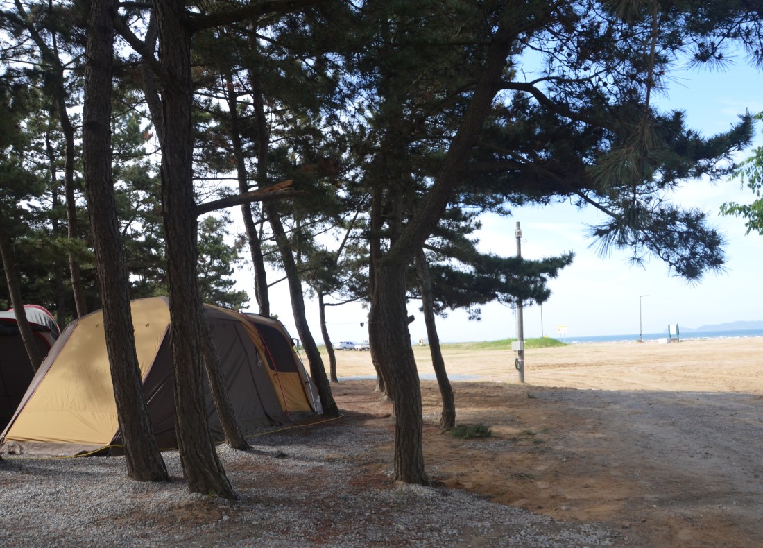 몽산포3구역그린캠핑장