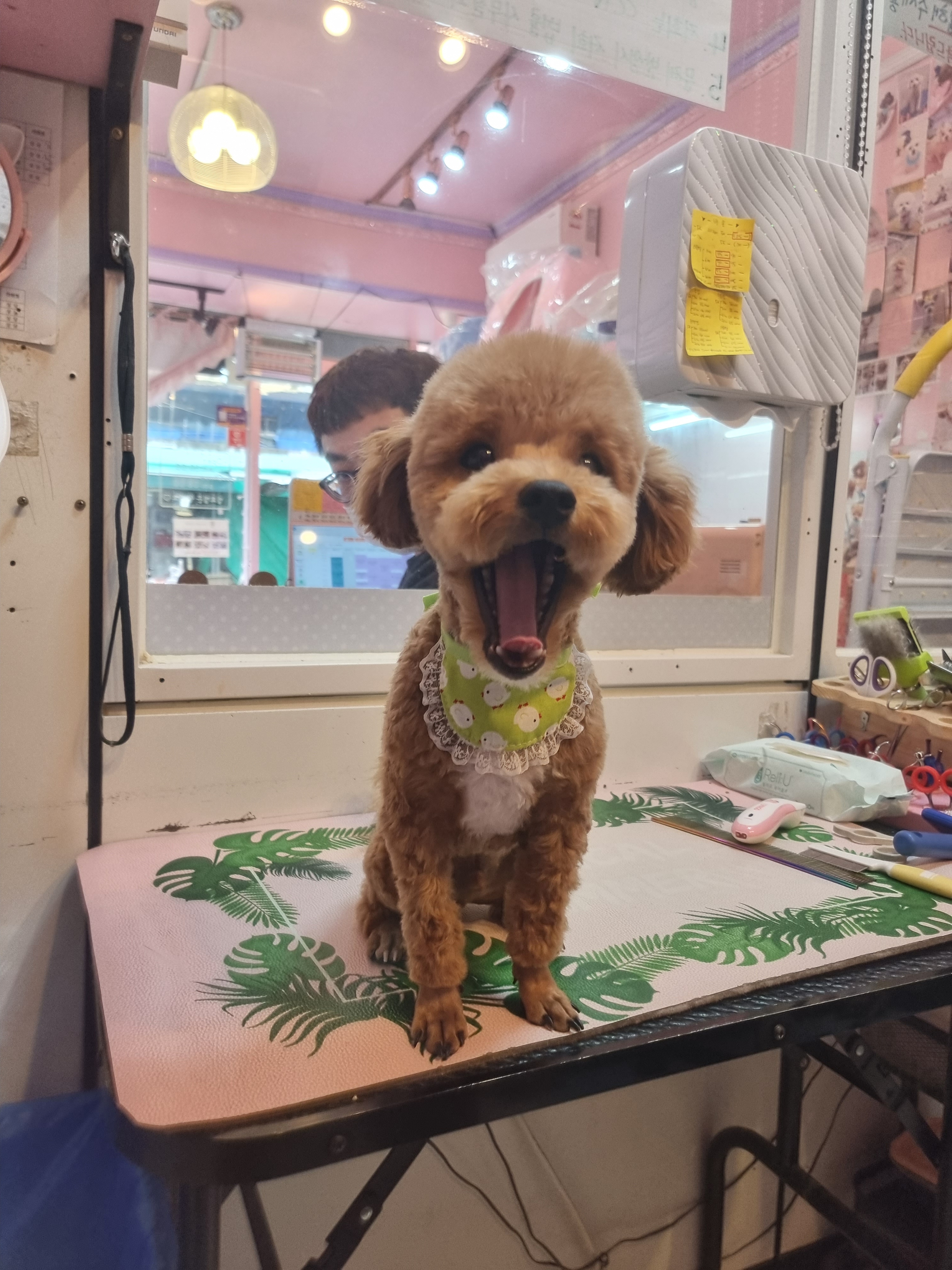 러블리하개 대표 이미지