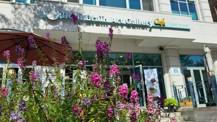 일지브레인아트갤러리카페