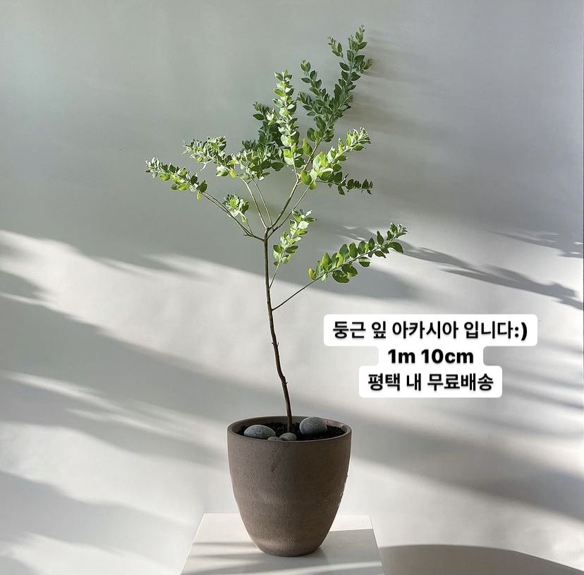 꽃바람화원
