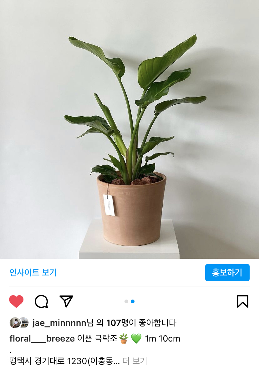꽃바람화원
