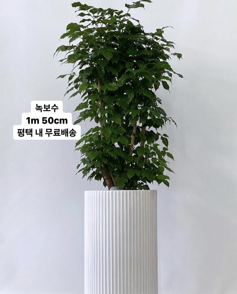 꽃바람화원