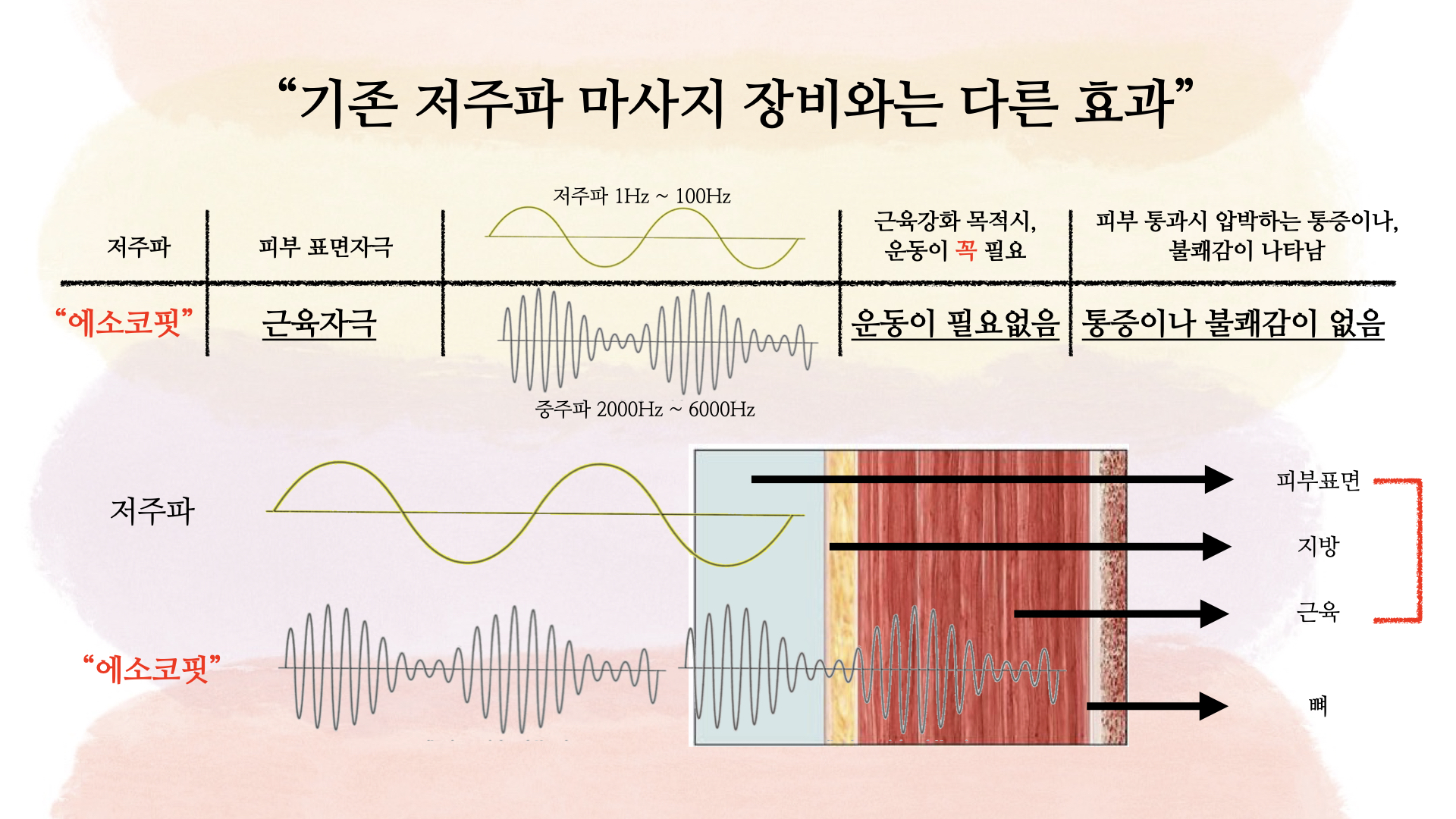 에소코핏 강남구청점