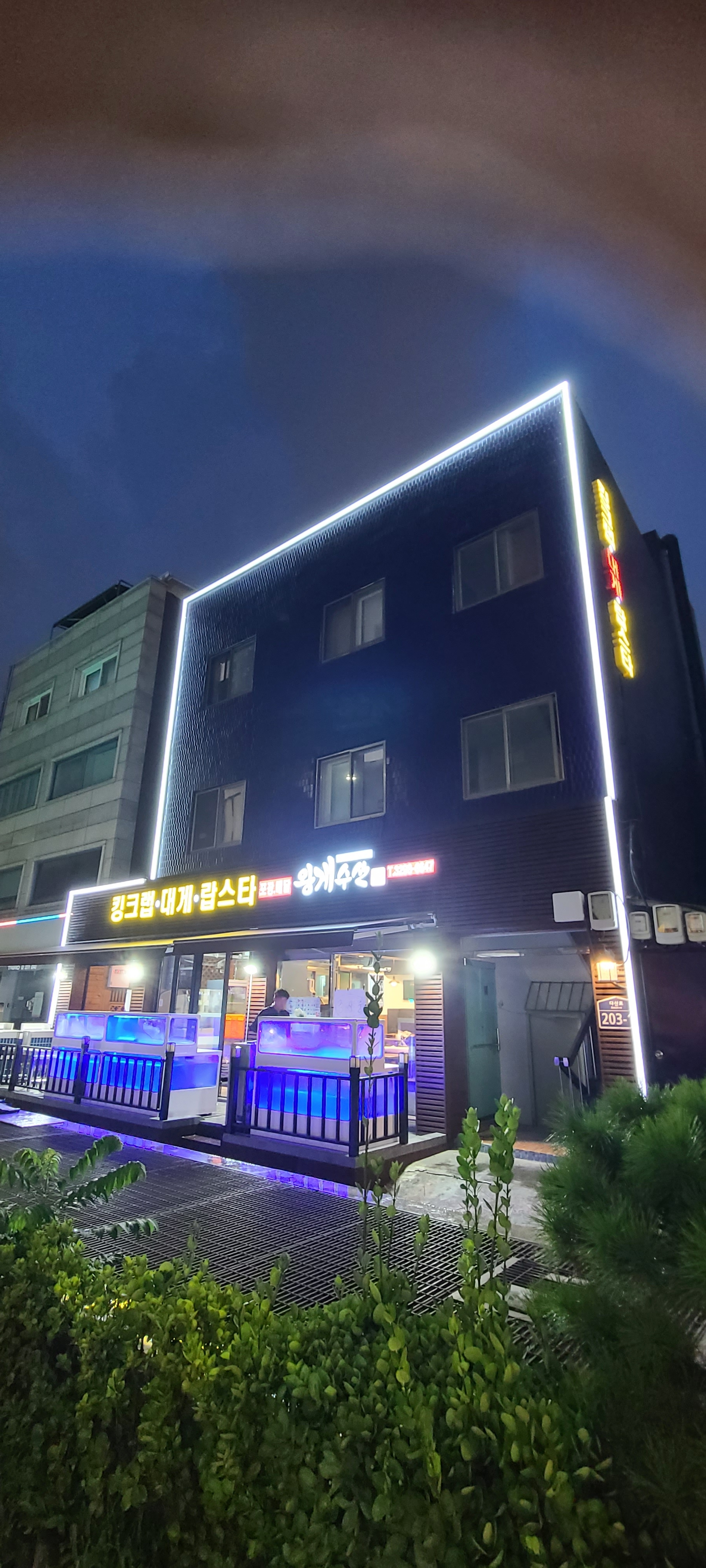 왕게수산 킹크랩 신당동직영점