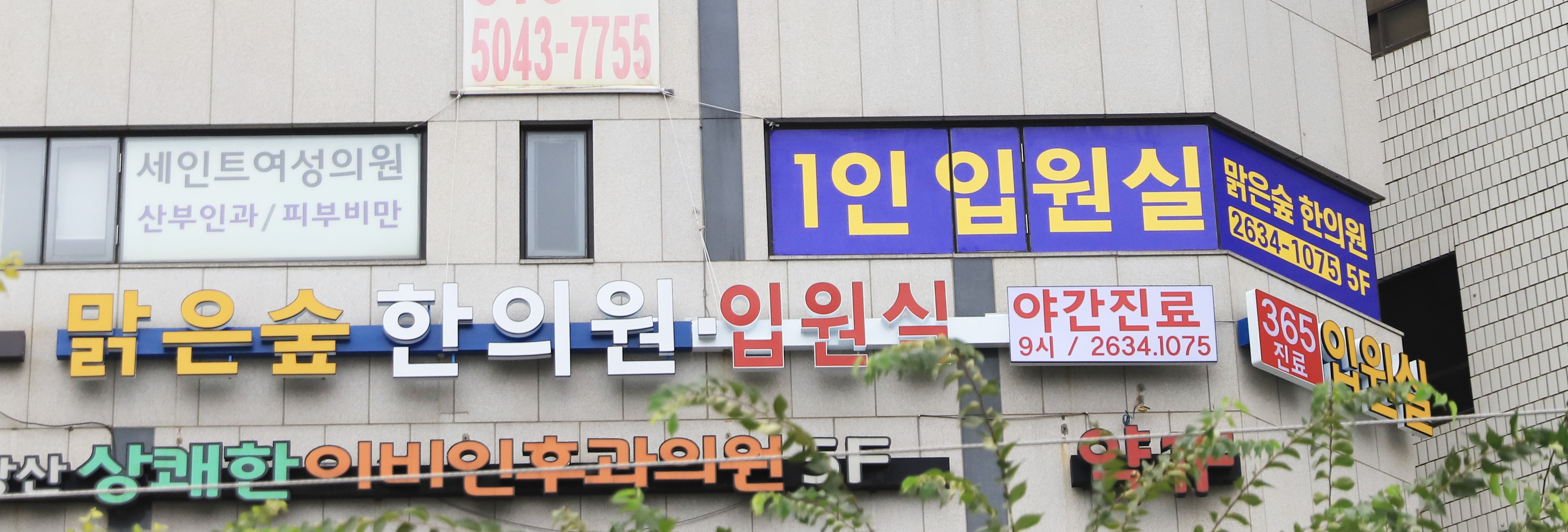 맑은숲한의원 영등포당산
