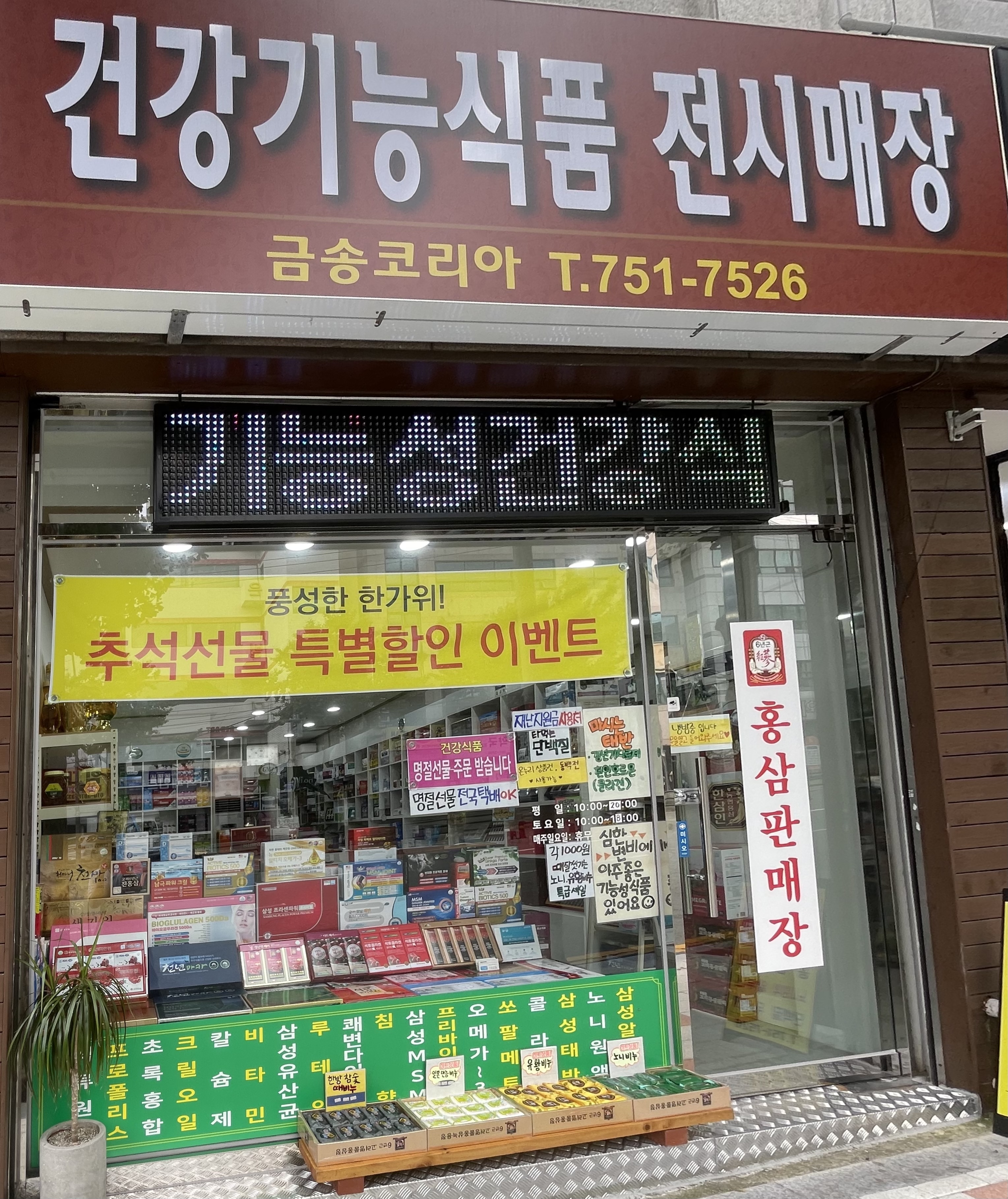 금송코리아