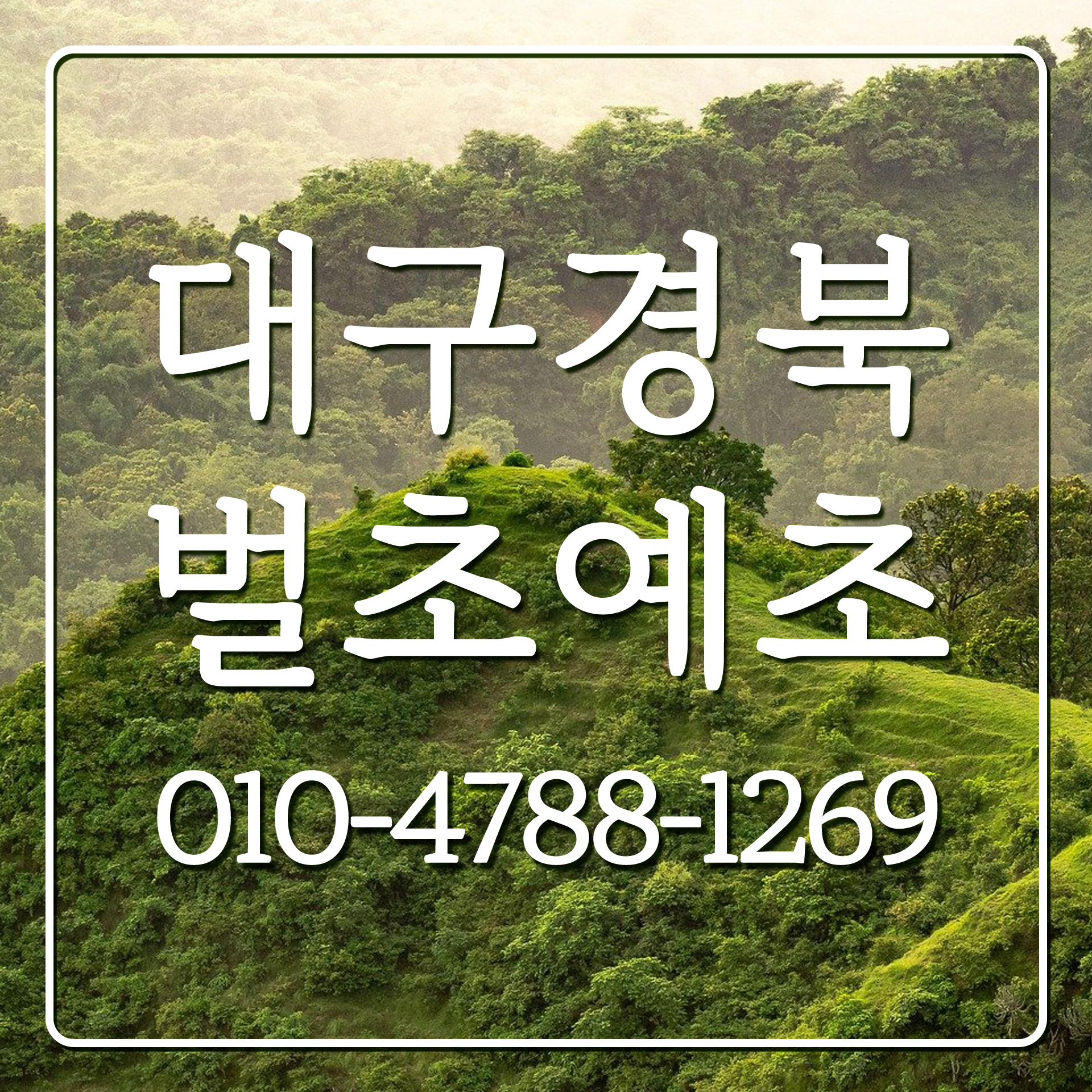 명당 벌초 대행