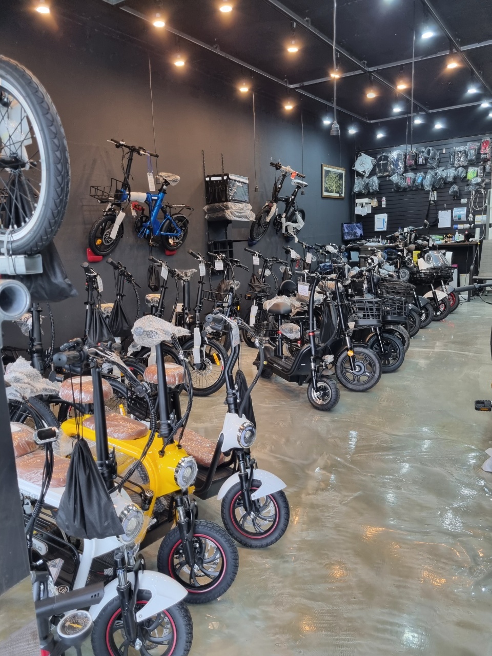 케이로드 대표 이미지