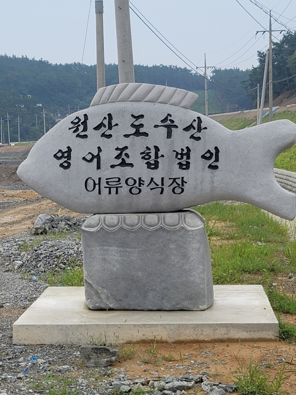 원산도수산 영어조합법인