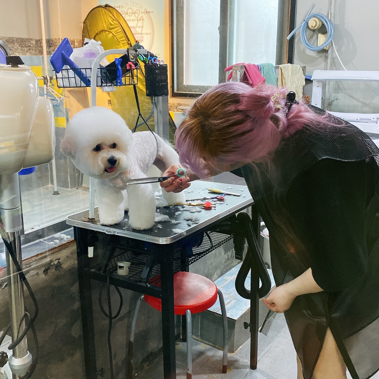 주변 가볼만한 곳