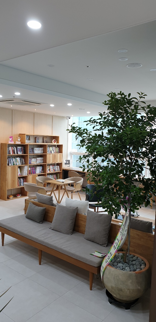 리노성형외과의원 대표 이미지