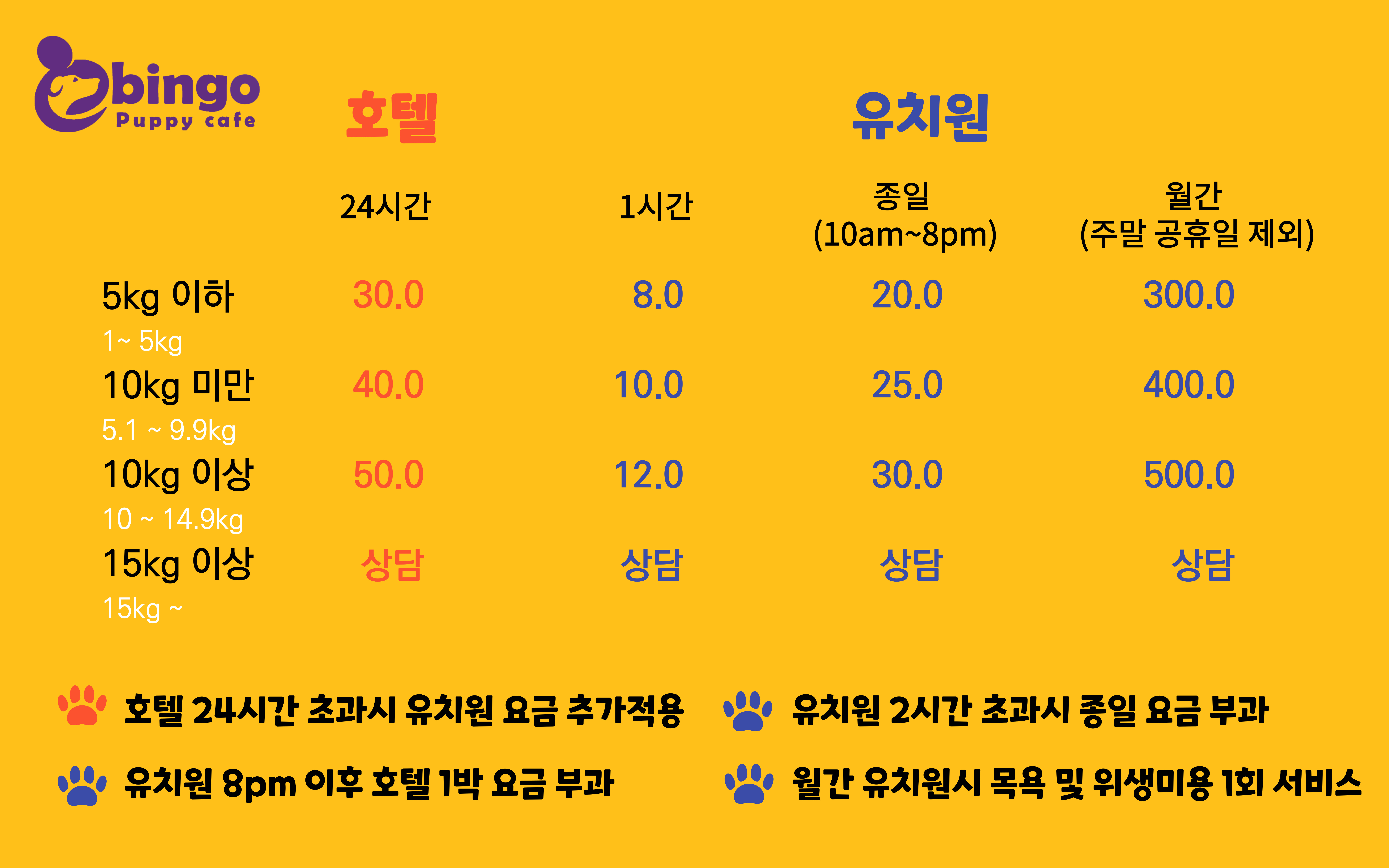 빙고 애견카페 충청 애견카페