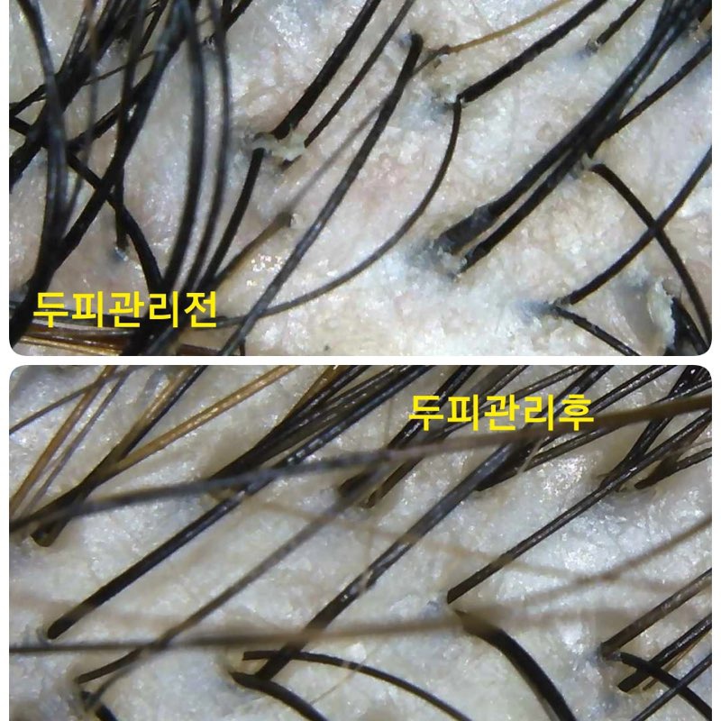 피부와두피숲 photo 6