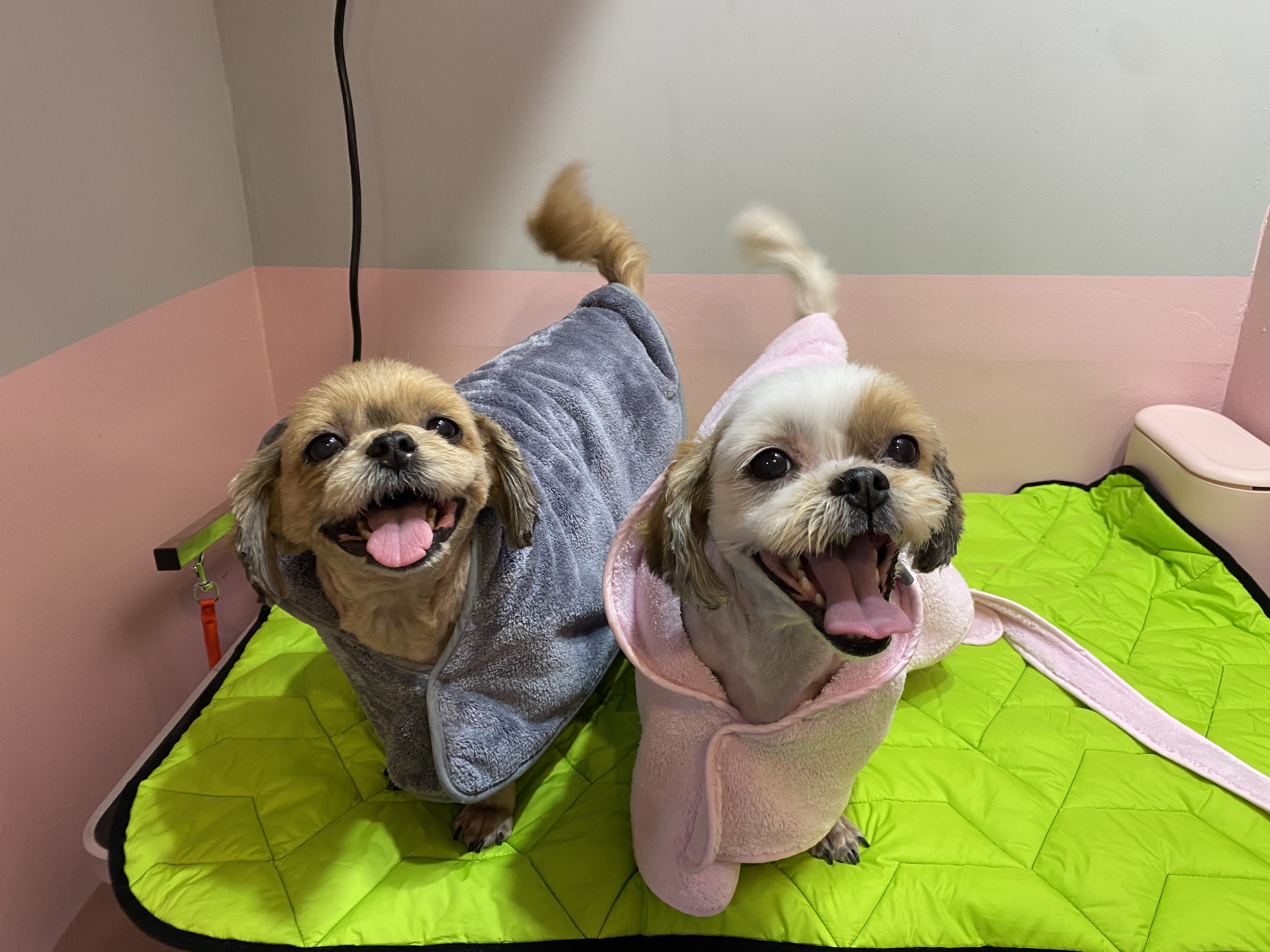 이미지