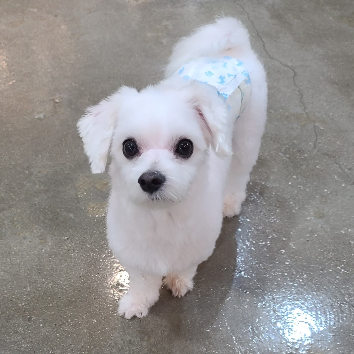 이미지