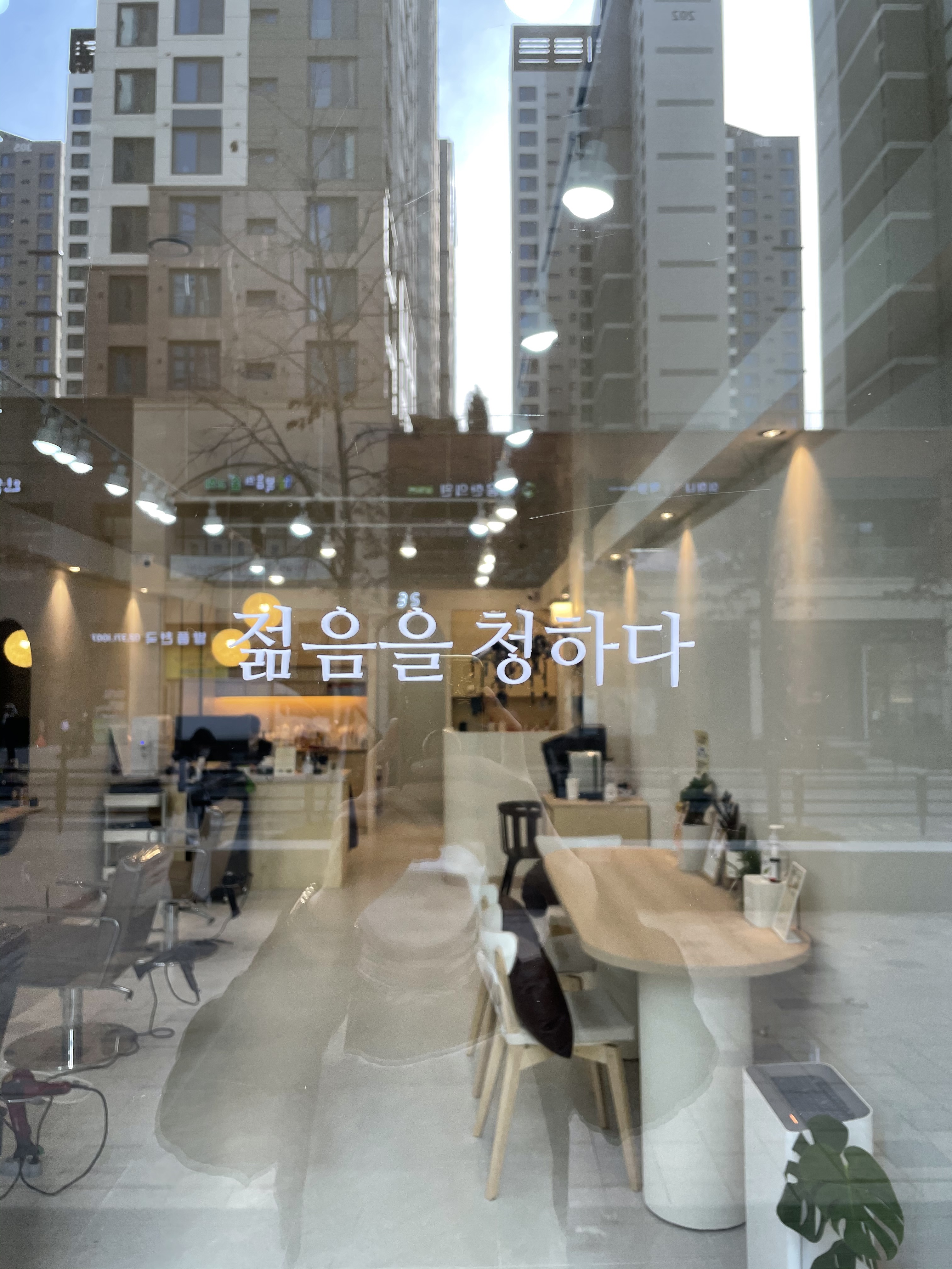 젊음을청하다