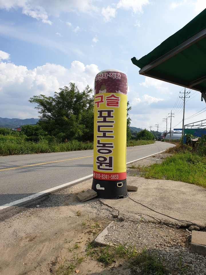 구슬포도농원
