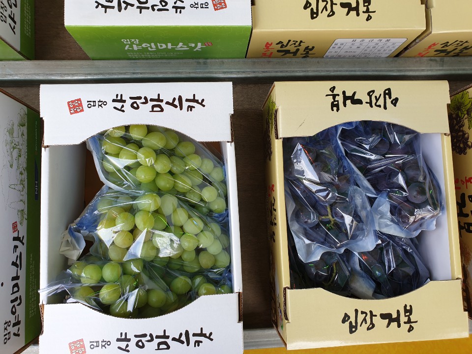 구슬포도농원