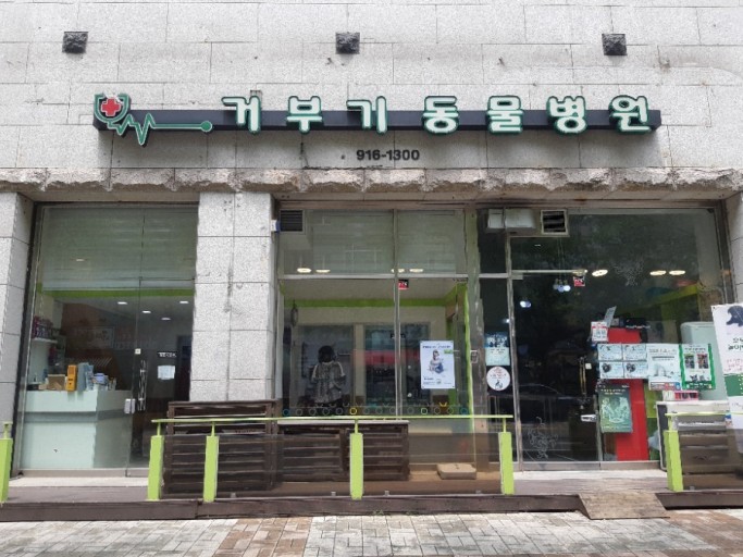 거부기동물병원