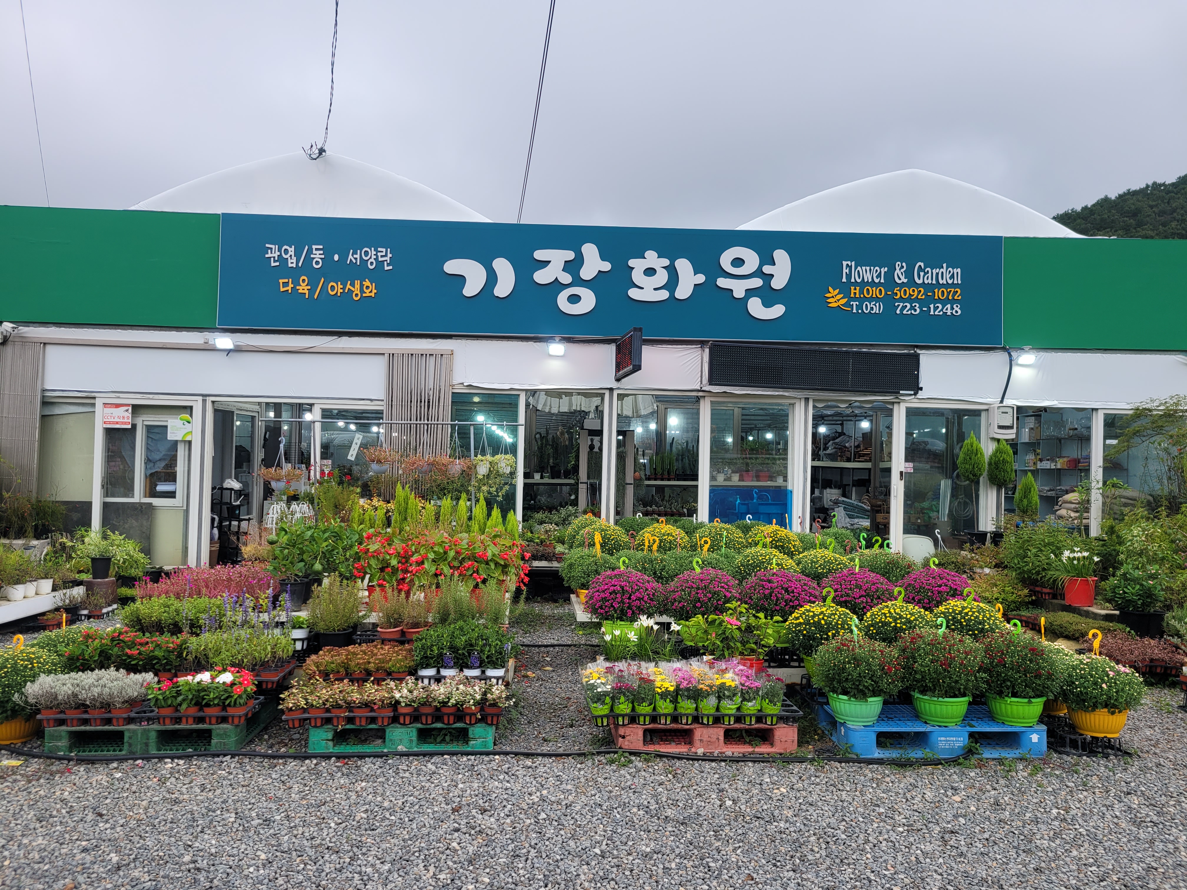 기장화원