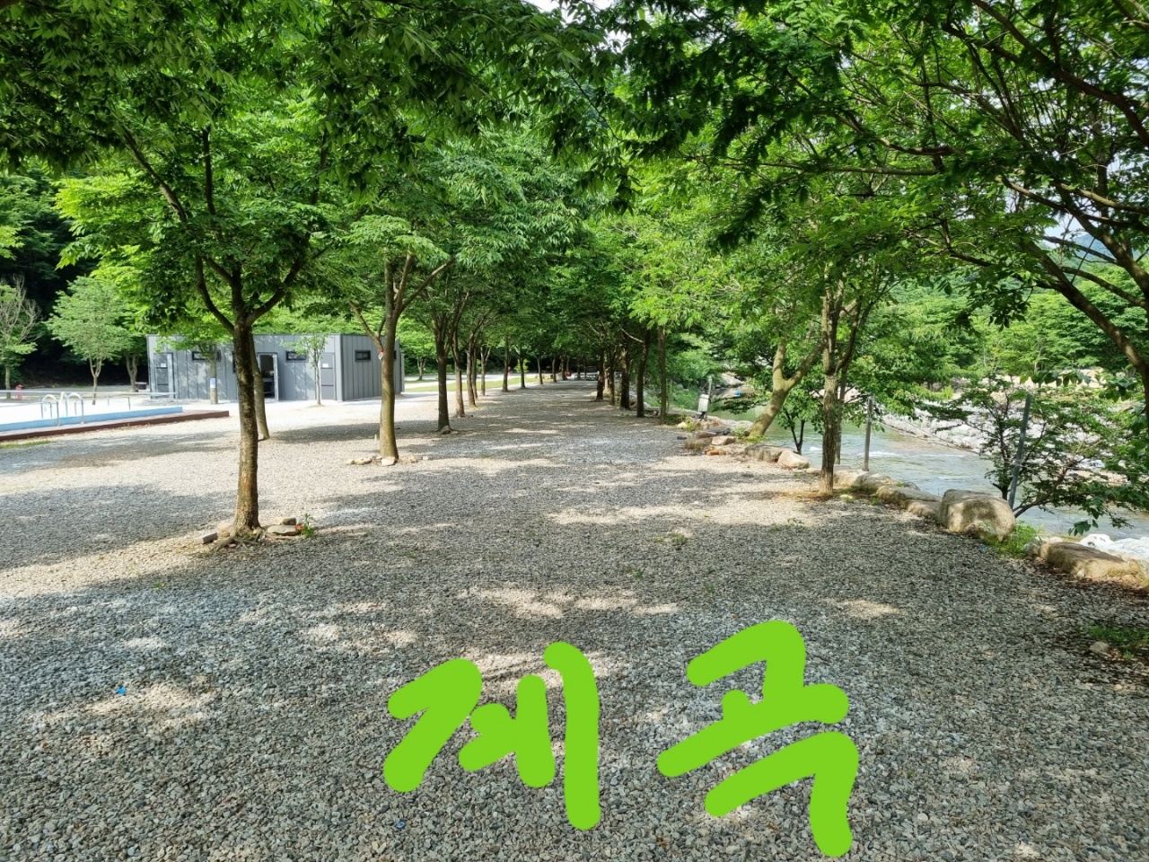 동상힐링캠핑장