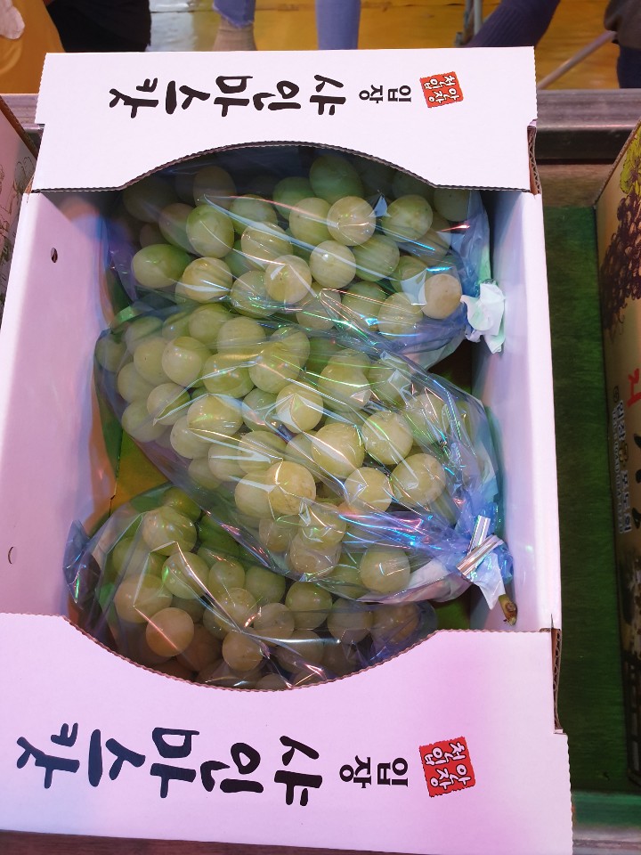 구슬포도농원