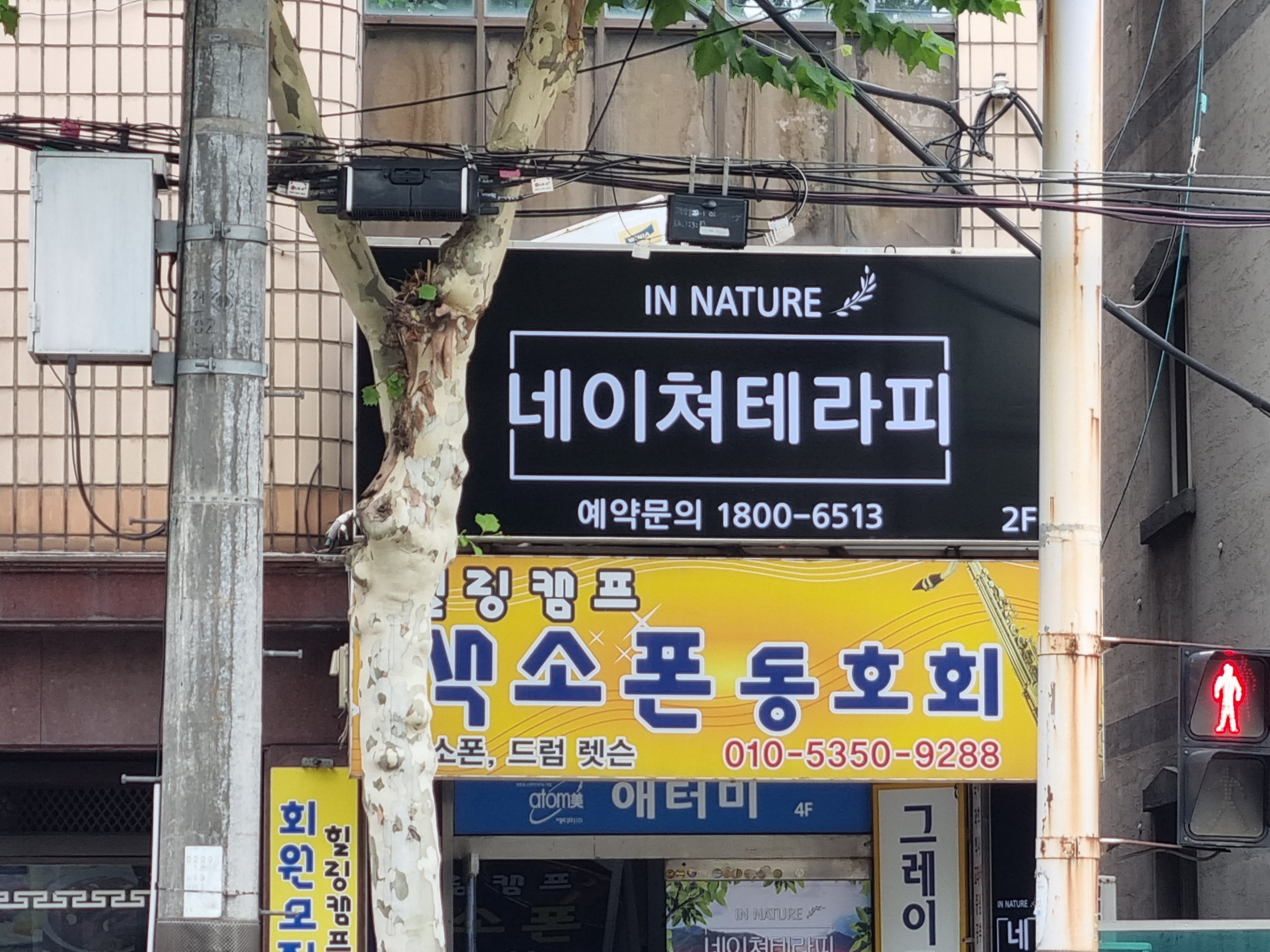 네이쳐테라피 photo 5