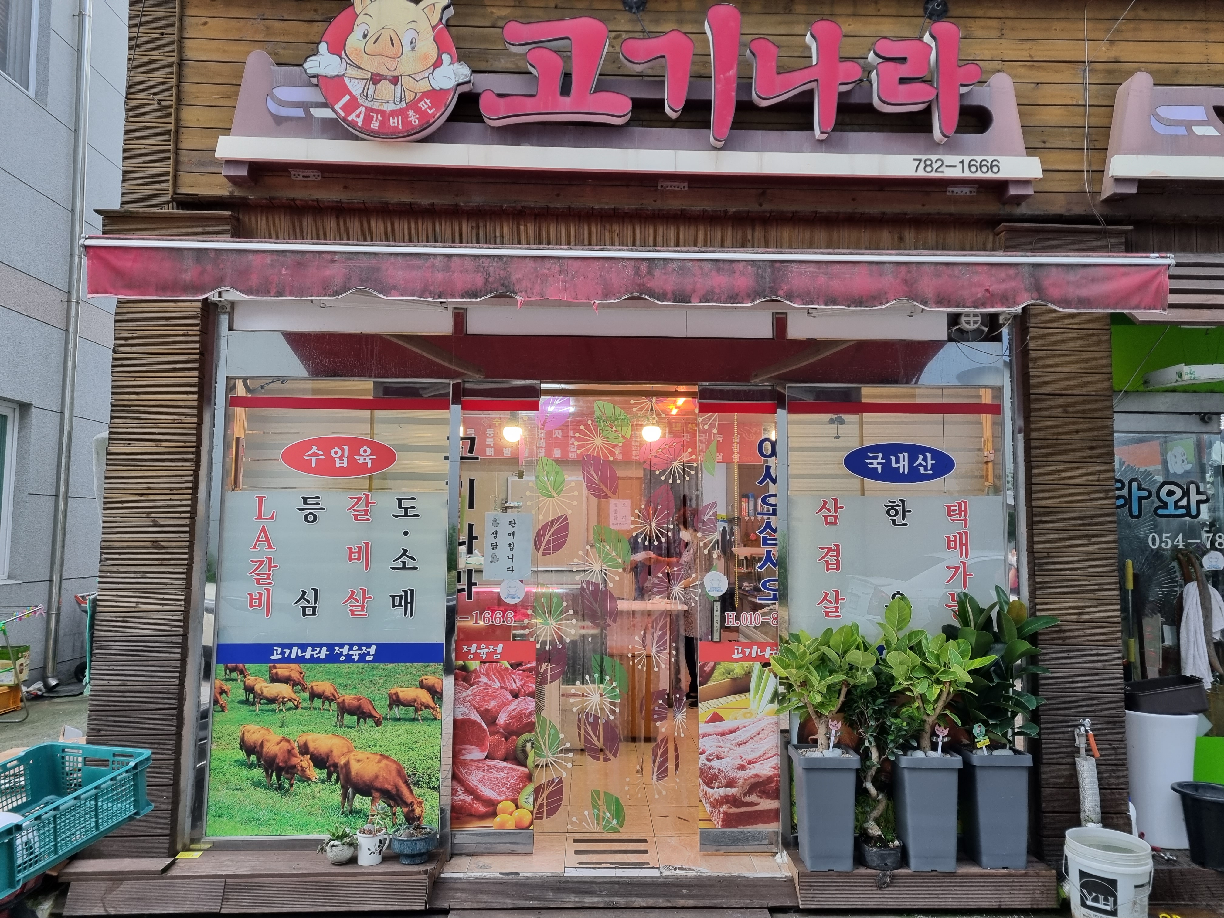 고기나라