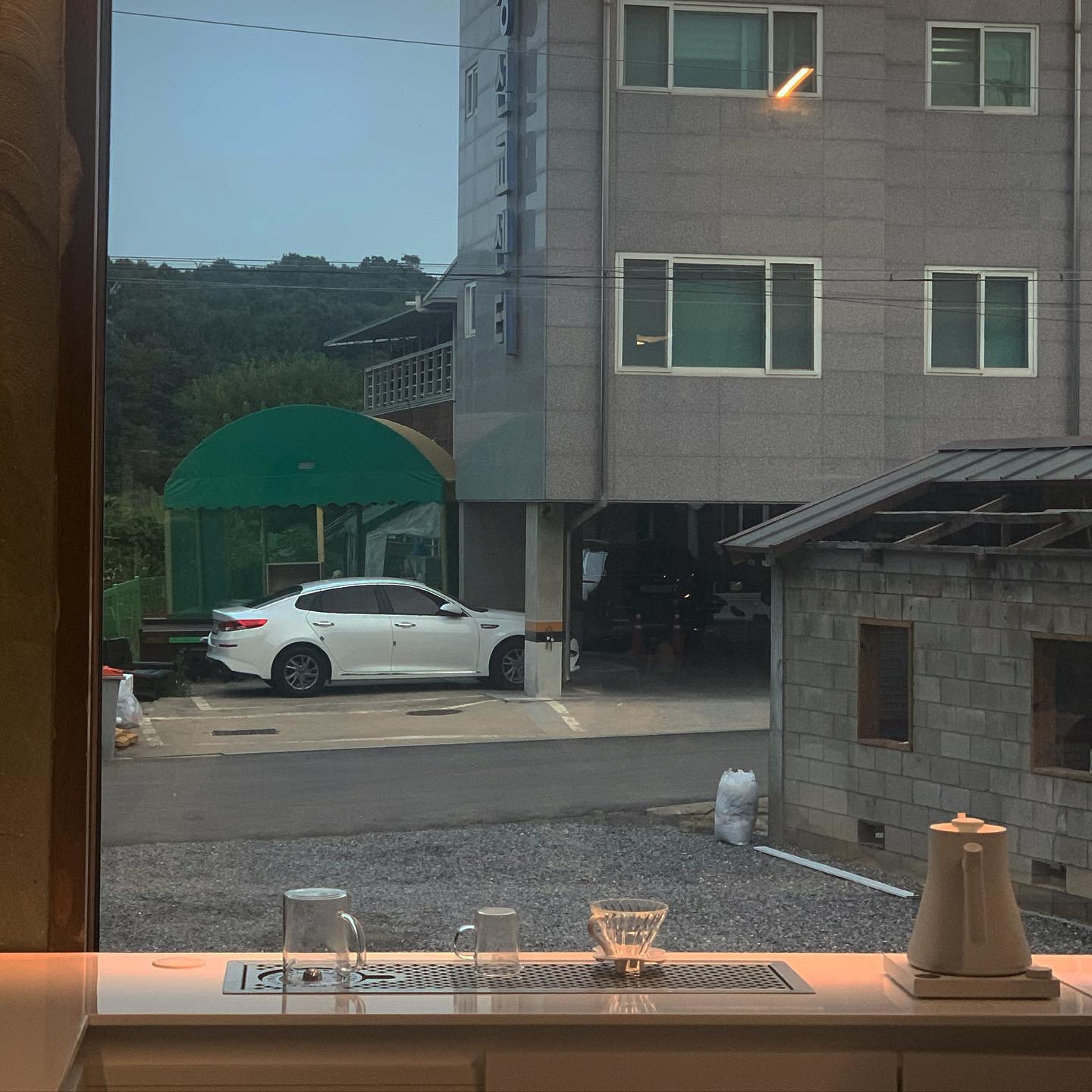 고양이똥 대표 이미지