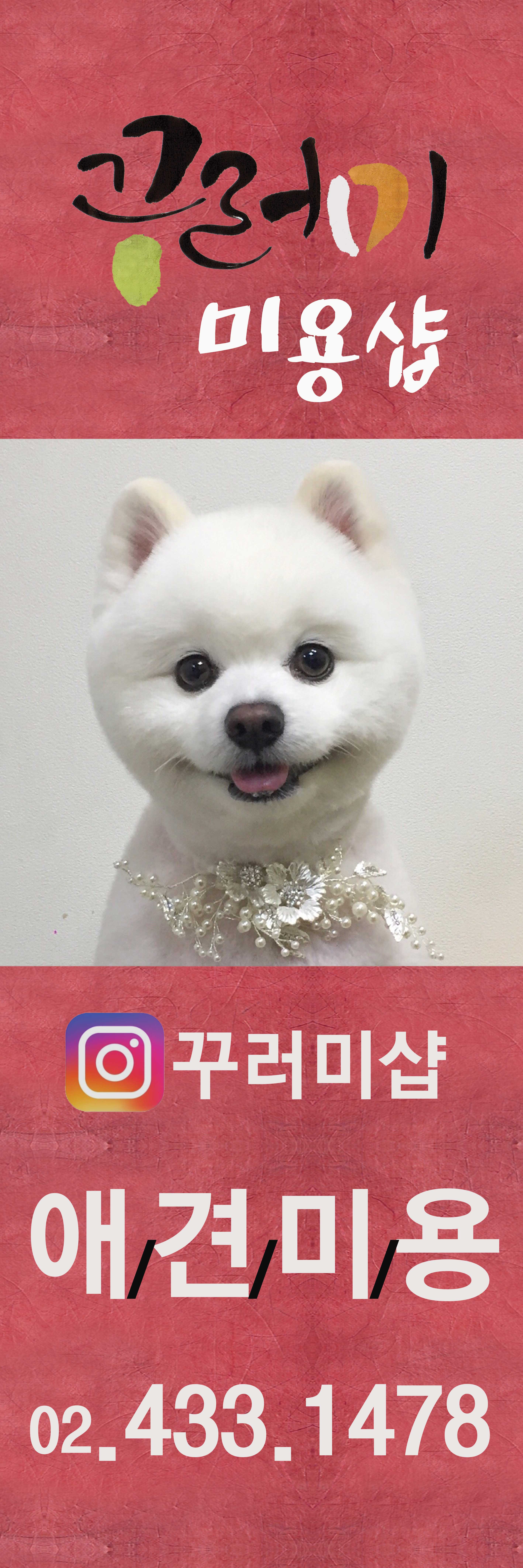 꾸러미 애견미용 대표 이미지