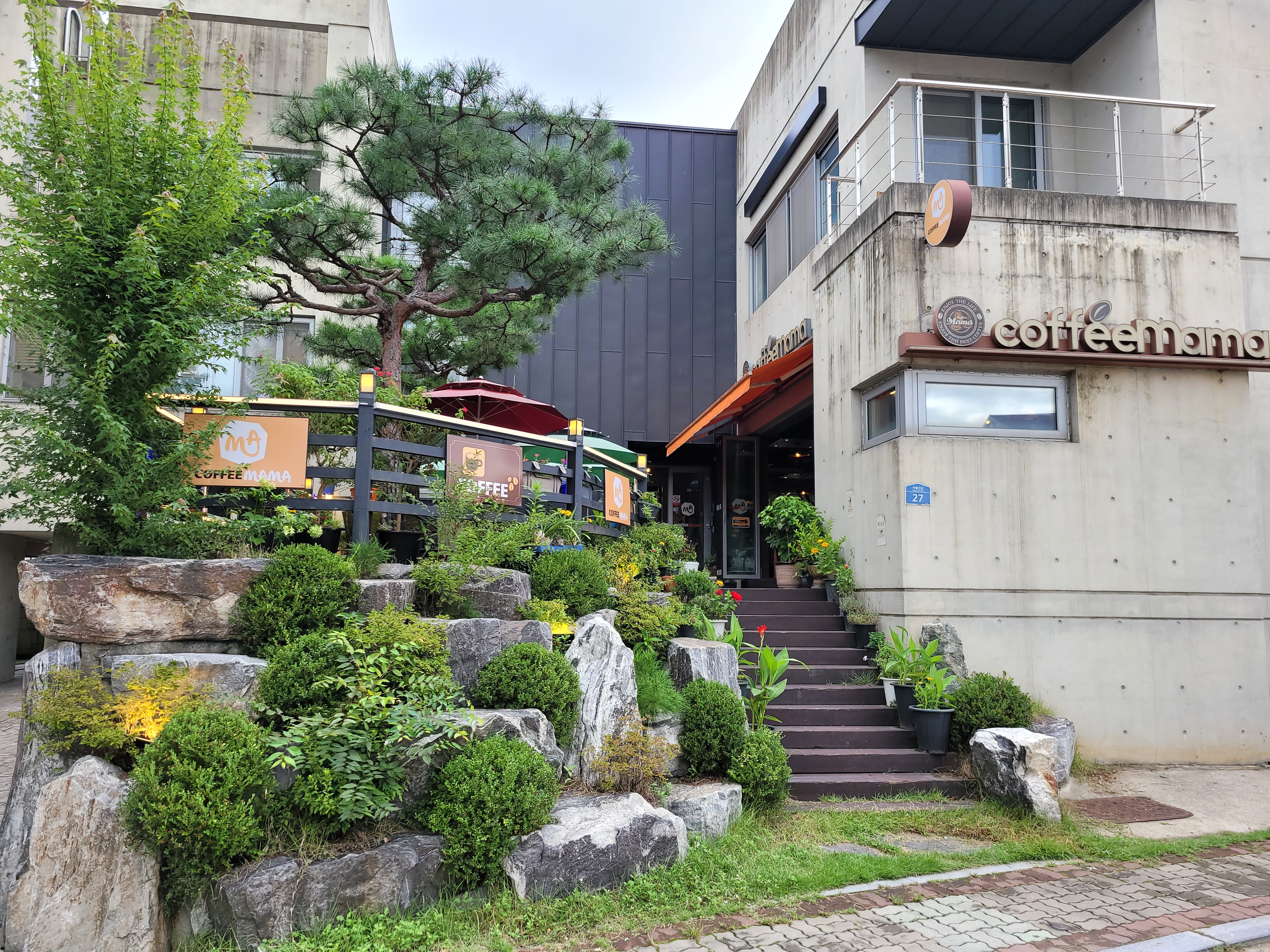 커피마마안산나무우리집