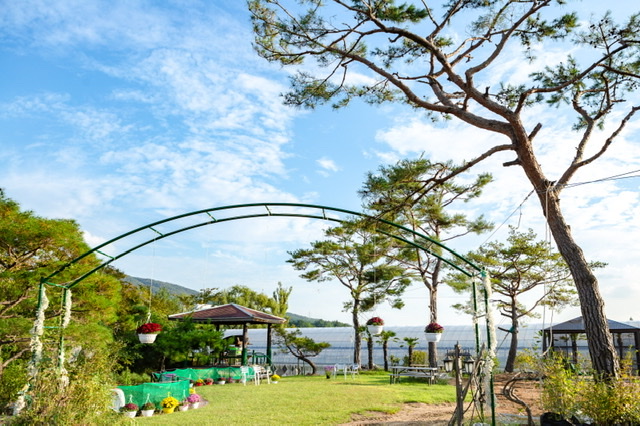 베리굿농장