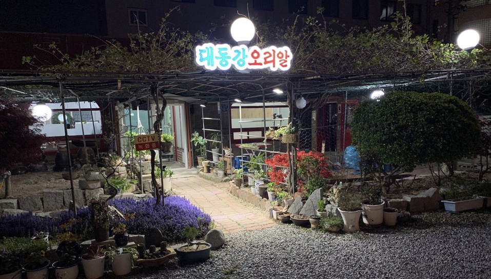 대동강오리알