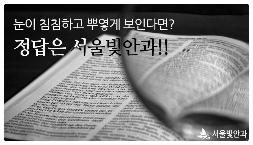 서울빛안과의원 대표 이미지