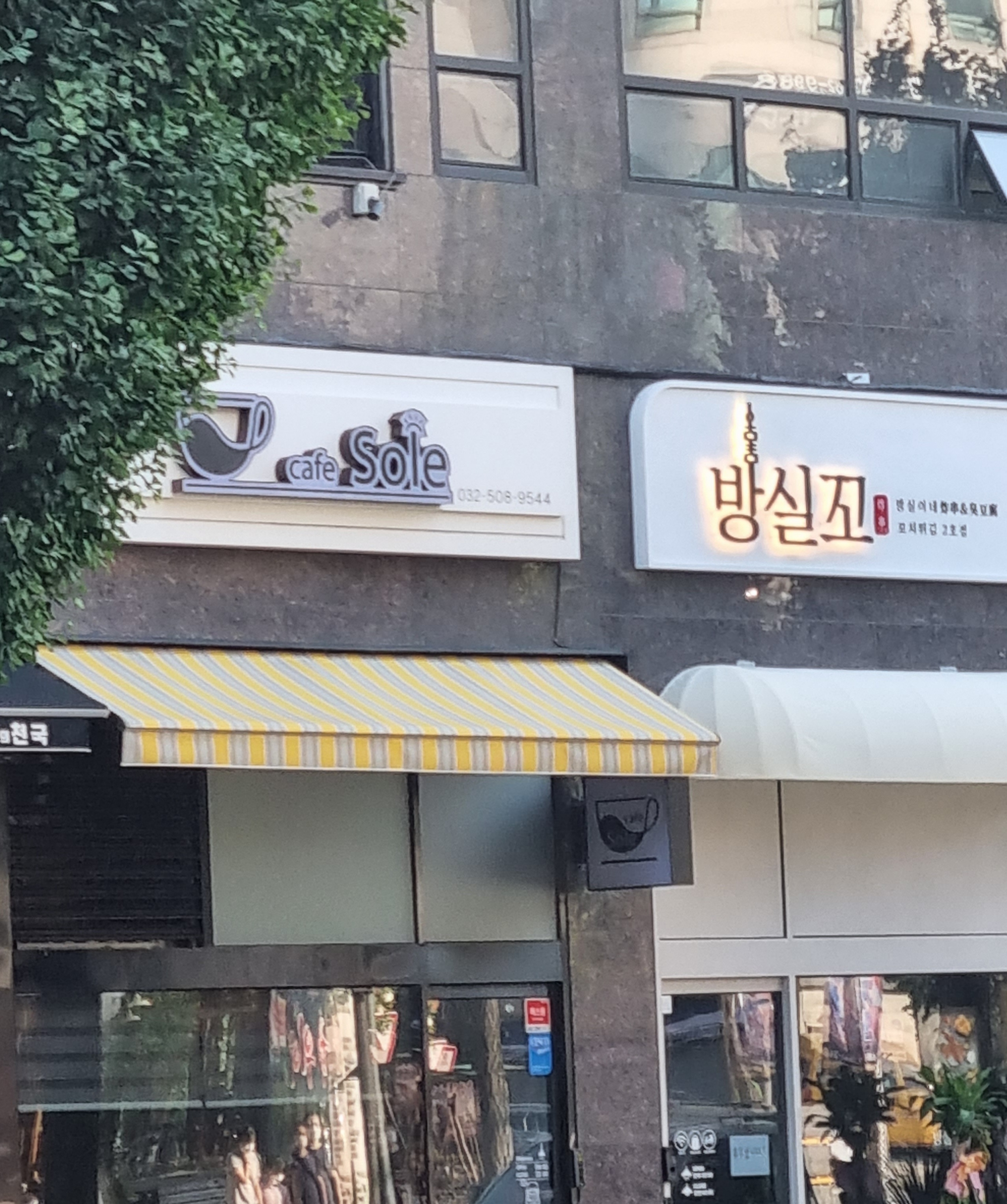 방실꼬