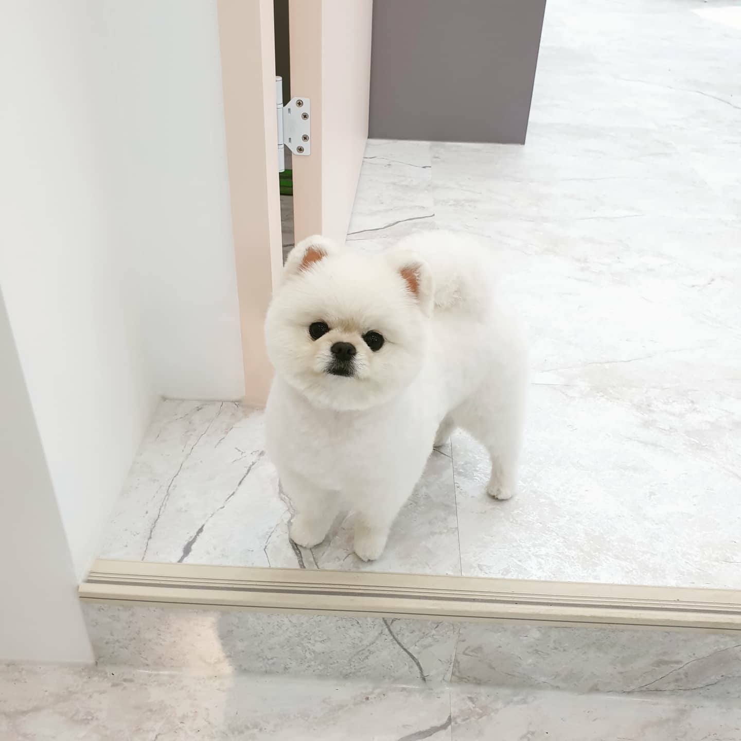 허그미 대표 이미지