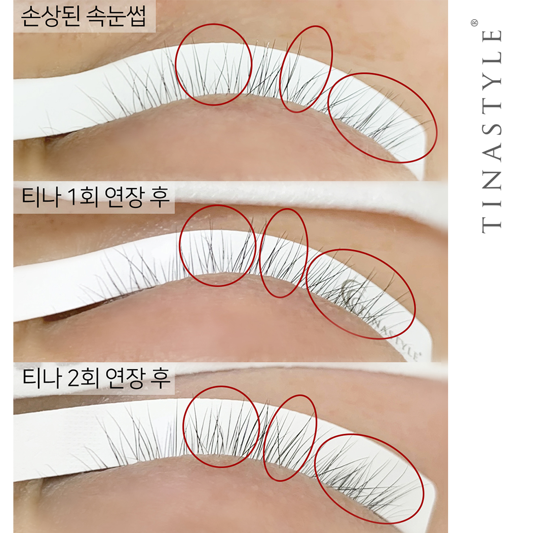 티나스타일 속눈썹&펌 강남본점