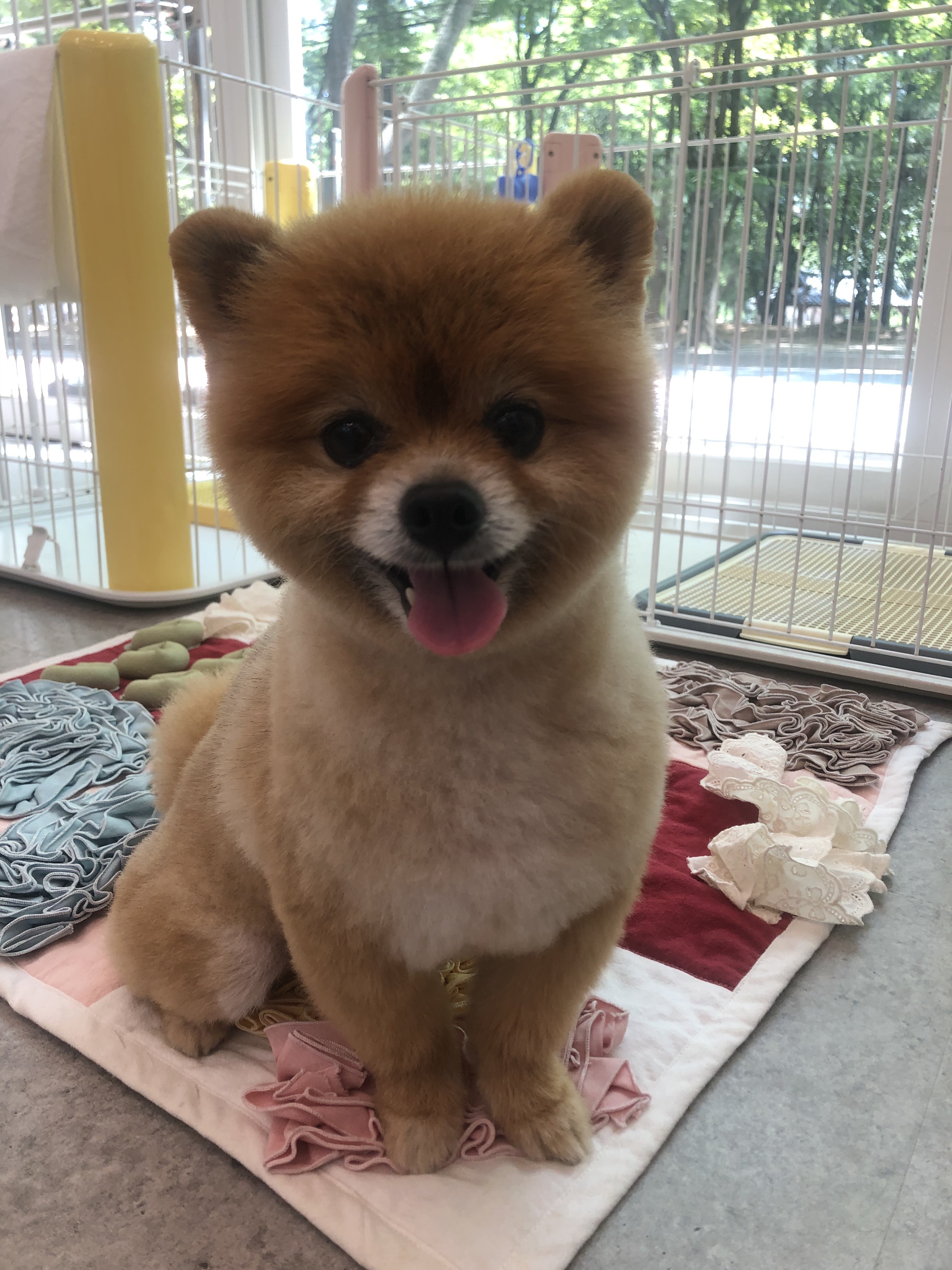 토토미용실 대표 이미지