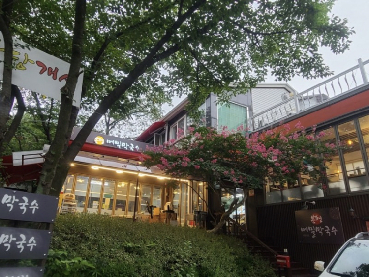 봉평메밀막국수 대표 이미지