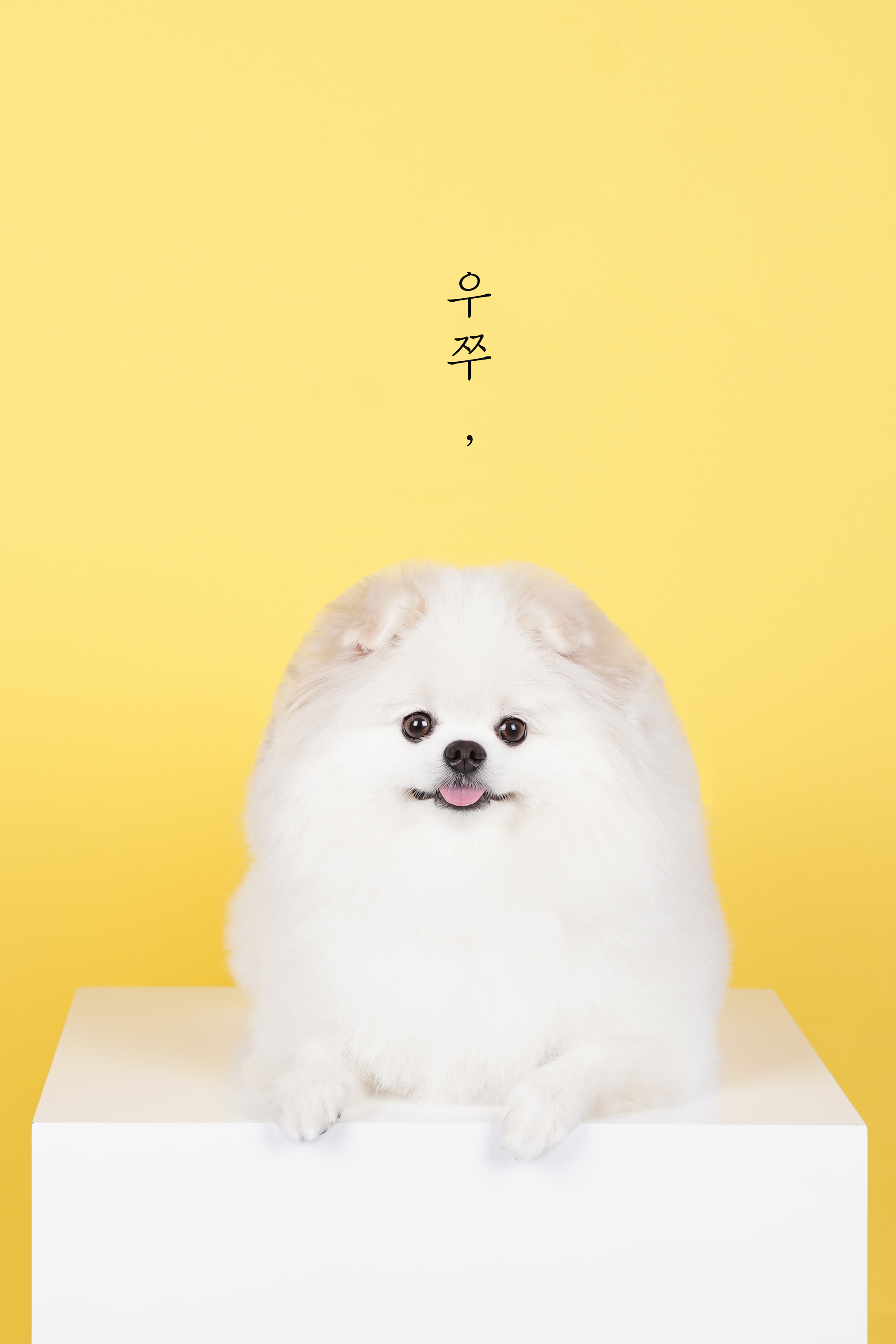 사파리사진관 청주점