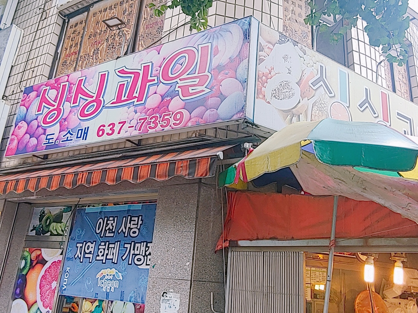 싱싱과일