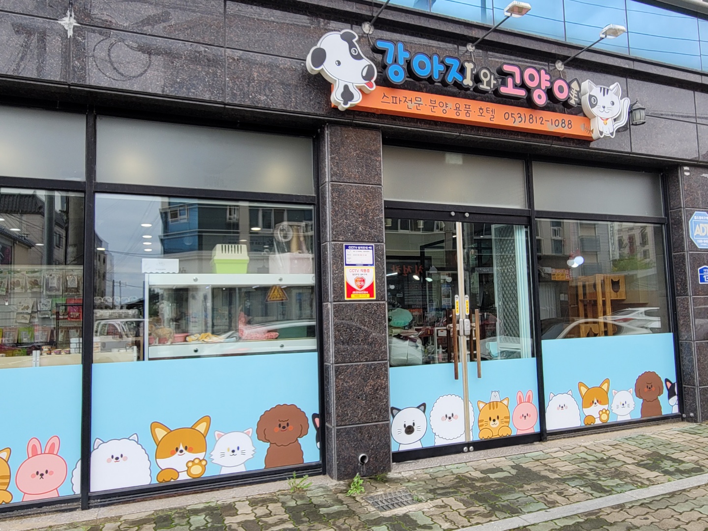 강아지와고양이 대표 이미지