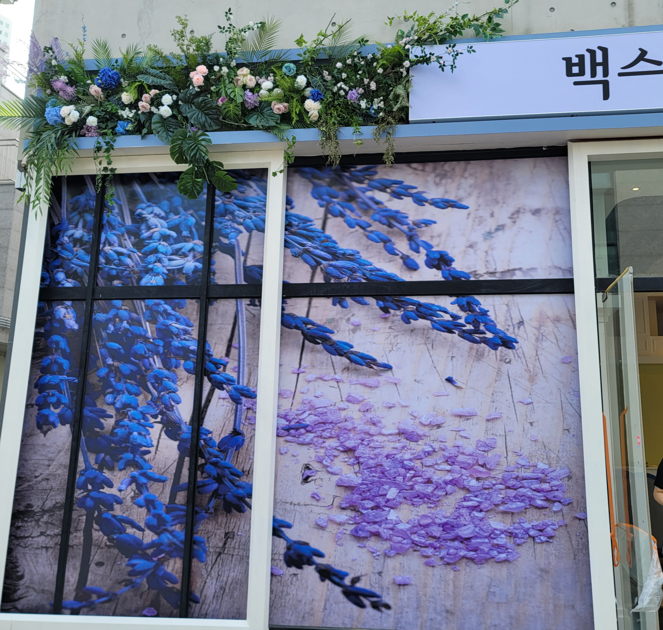 백스테라피 photo 6
