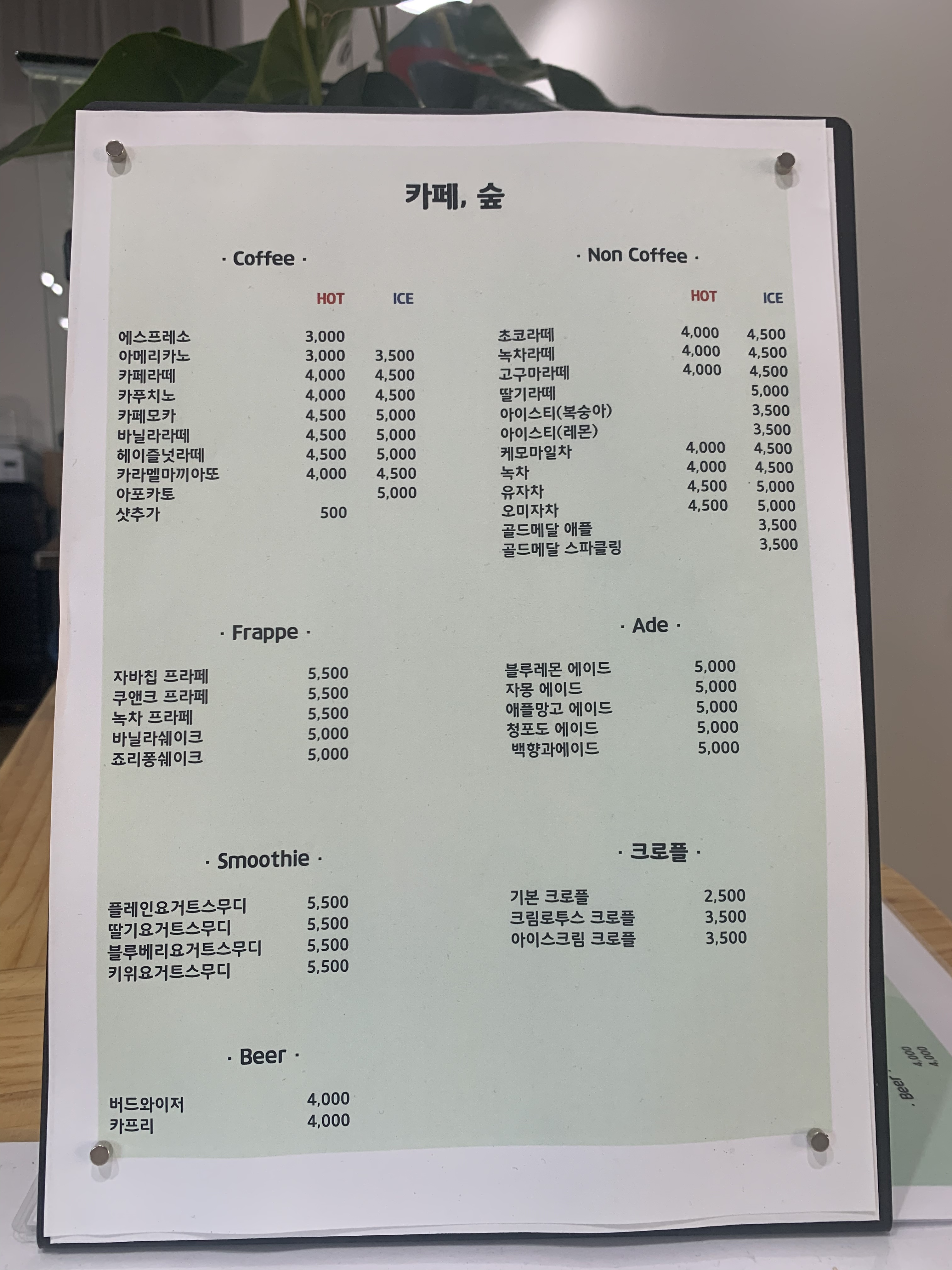 카페숲 5