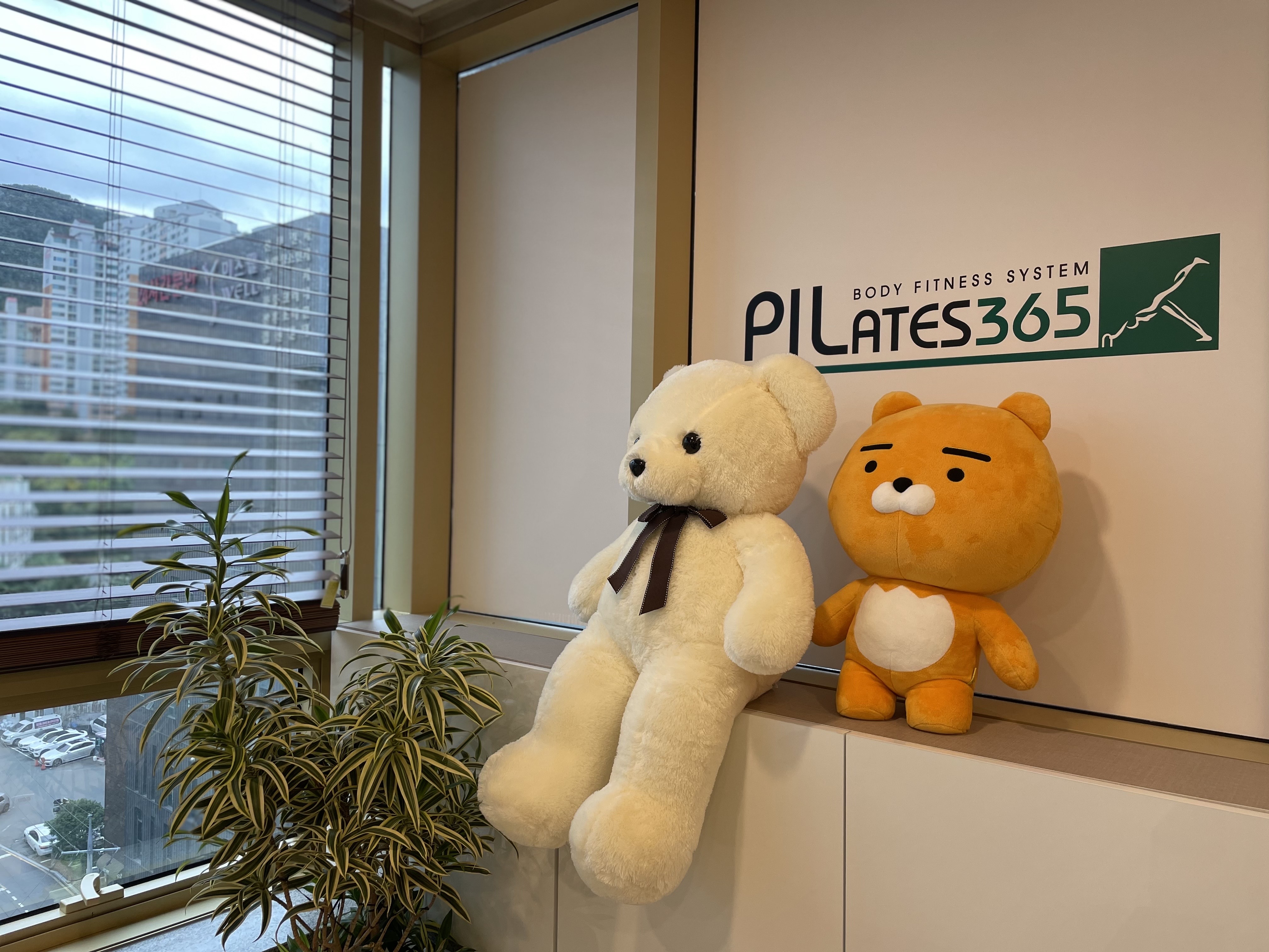 필라테스365 화명점 대표 이미지