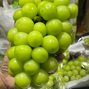 경일농원
