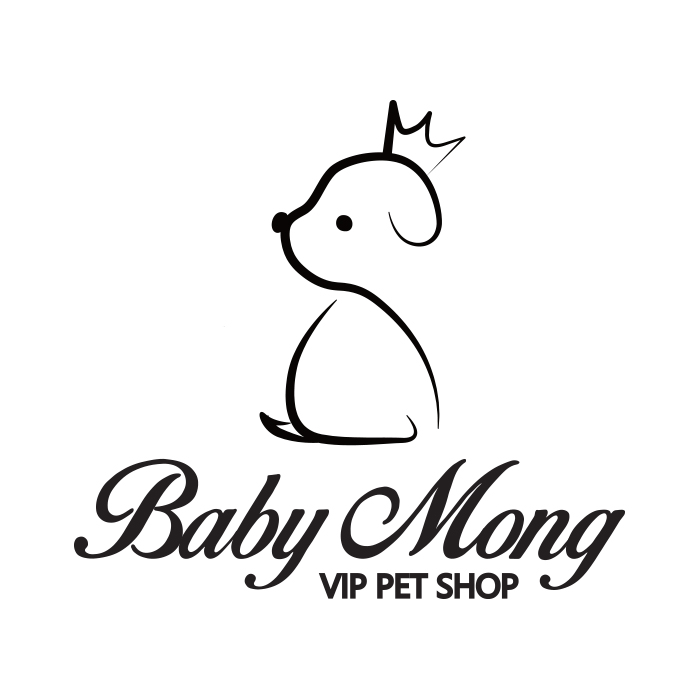 베이비몽 강아지분양 인천청라점